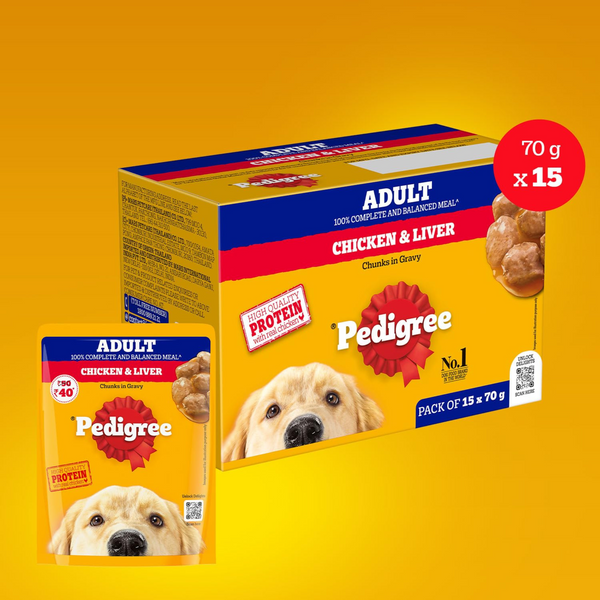 Pedigree Chicken and Liver Chunks in Gravy Adult Dog Wet Food (70g)